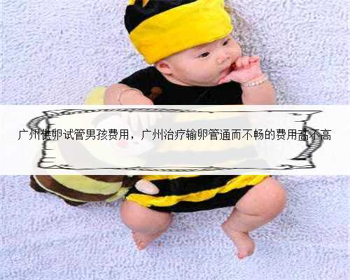 广州供卵试管男孩费用，广州治疗输卵管通而不畅的费用高不高
