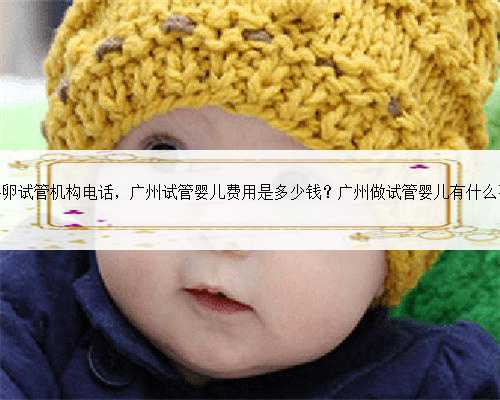 广州供卵试管机构电话，广州试管婴儿费用是多少钱？广州做试管婴儿有什么要
