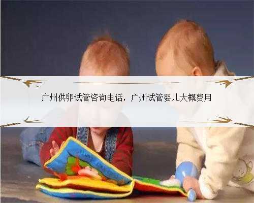 广州供卵试管咨询电话，广州试管婴儿大概费用
