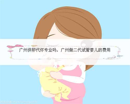 广州供卵代怀专业吗，广州做二代试管婴儿的费用