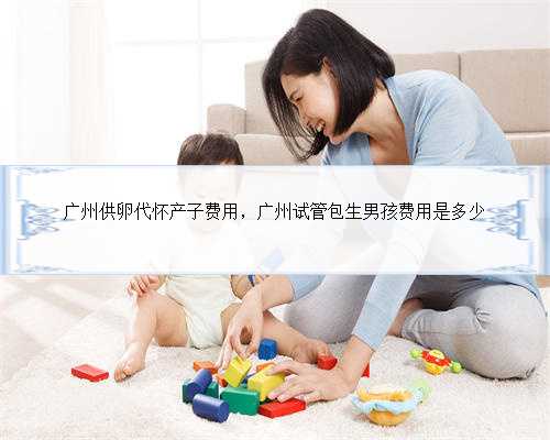 广州供卵代怀产子费用，广州试管包生男孩费用是多少