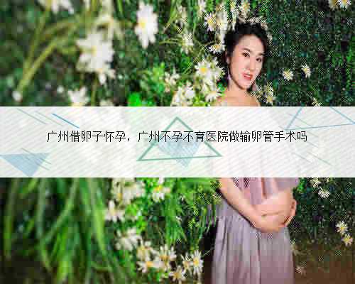 广州借卵子怀孕，广州不孕不育医院做输卵管手术吗
