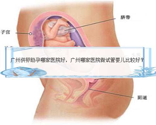 广州供卵助孕哪家医院好，广州哪家医院做试管婴儿比较好？